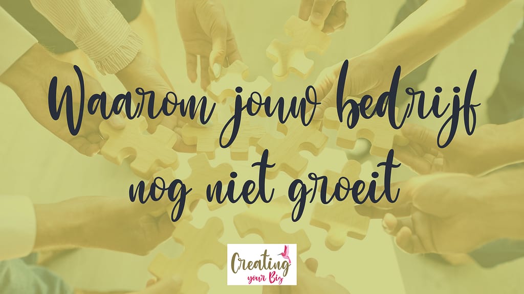 bedrijf nog niet groeit